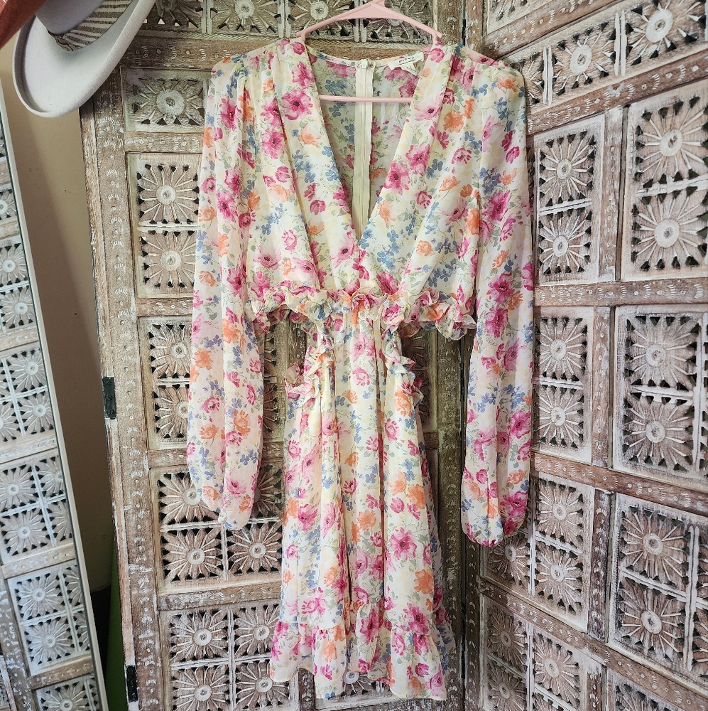 Privy Multicolor Floral Dress